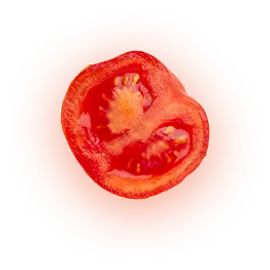 tomato tomato